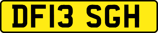 DF13SGH