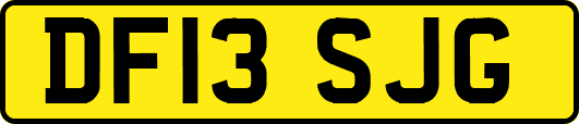 DF13SJG