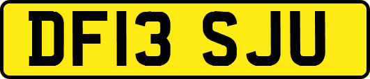 DF13SJU