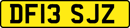 DF13SJZ