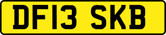 DF13SKB