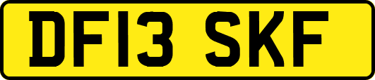 DF13SKF