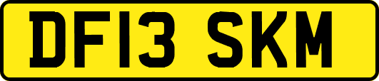 DF13SKM