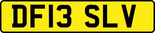 DF13SLV