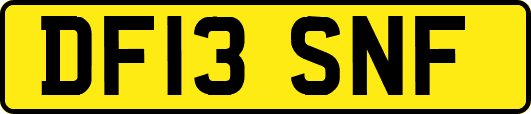 DF13SNF