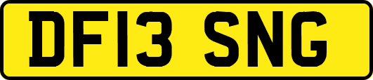 DF13SNG