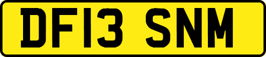 DF13SNM