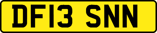 DF13SNN
