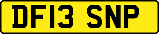DF13SNP