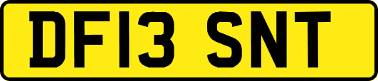 DF13SNT