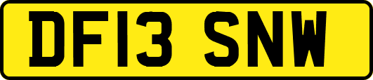 DF13SNW