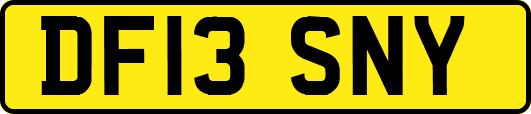 DF13SNY