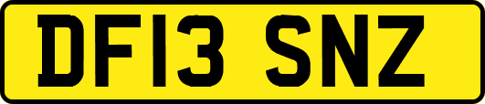 DF13SNZ