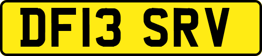 DF13SRV