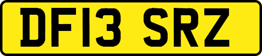 DF13SRZ