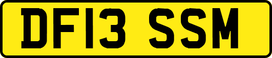 DF13SSM