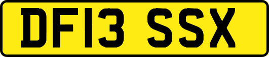 DF13SSX