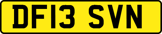 DF13SVN