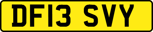 DF13SVY
