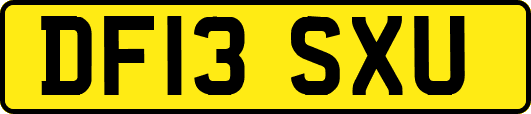 DF13SXU