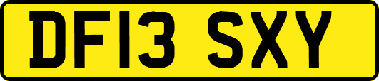 DF13SXY