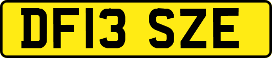 DF13SZE