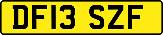 DF13SZF