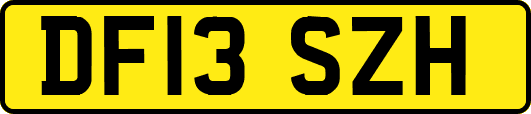 DF13SZH