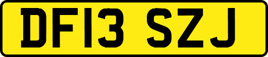 DF13SZJ