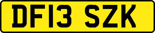 DF13SZK