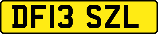 DF13SZL