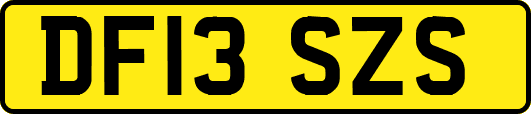 DF13SZS