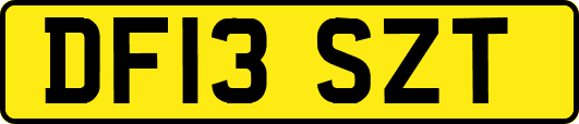 DF13SZT