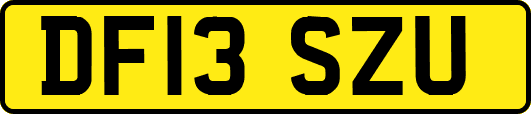 DF13SZU