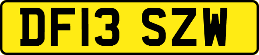DF13SZW