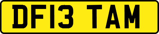 DF13TAM
