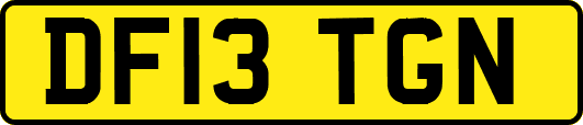 DF13TGN