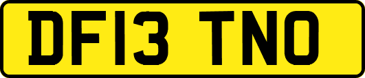 DF13TNO