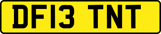 DF13TNT