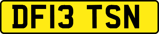 DF13TSN