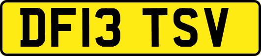 DF13TSV