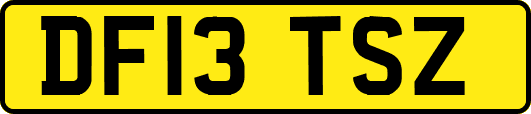 DF13TSZ