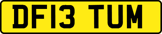DF13TUM
