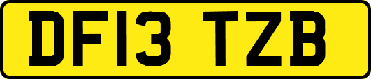 DF13TZB