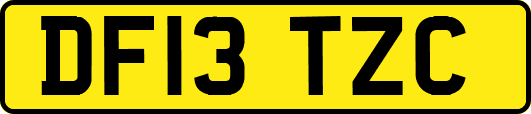 DF13TZC