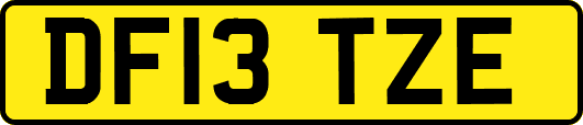 DF13TZE