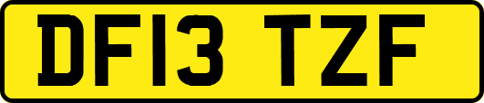 DF13TZF