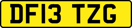 DF13TZG