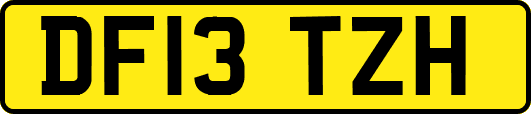 DF13TZH