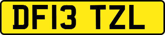 DF13TZL